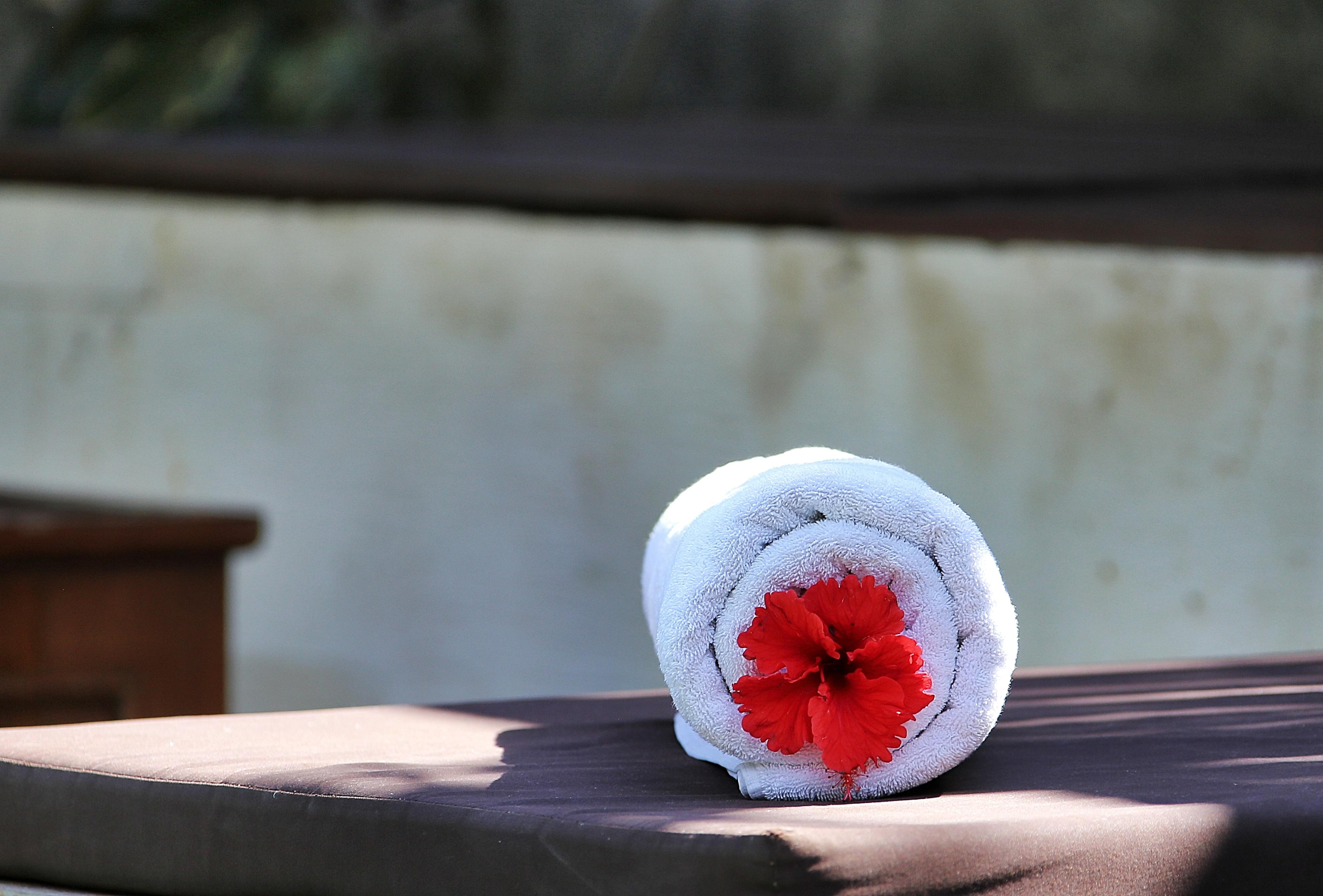The Sanyas Villa Seminyak (Bali)