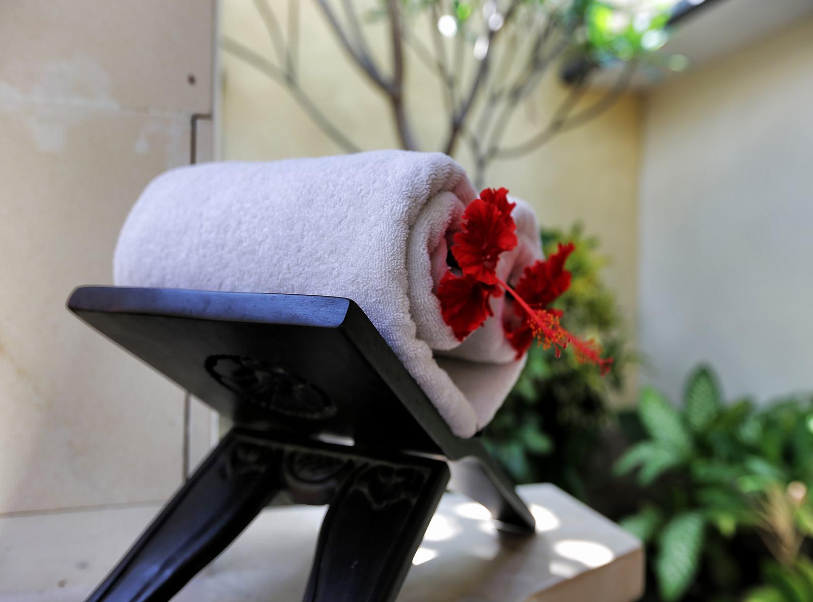 The Sanyas Villa Seminyak (Bali)
